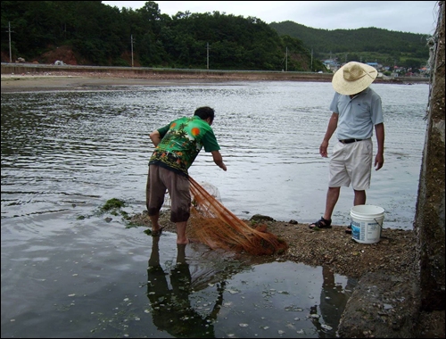 물고기는 몇 마리나 잡혔을까? 